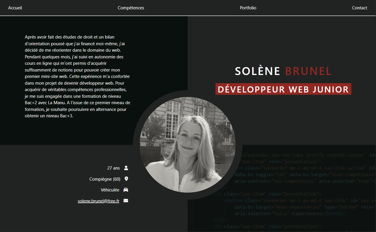 Page d'accueil du CV